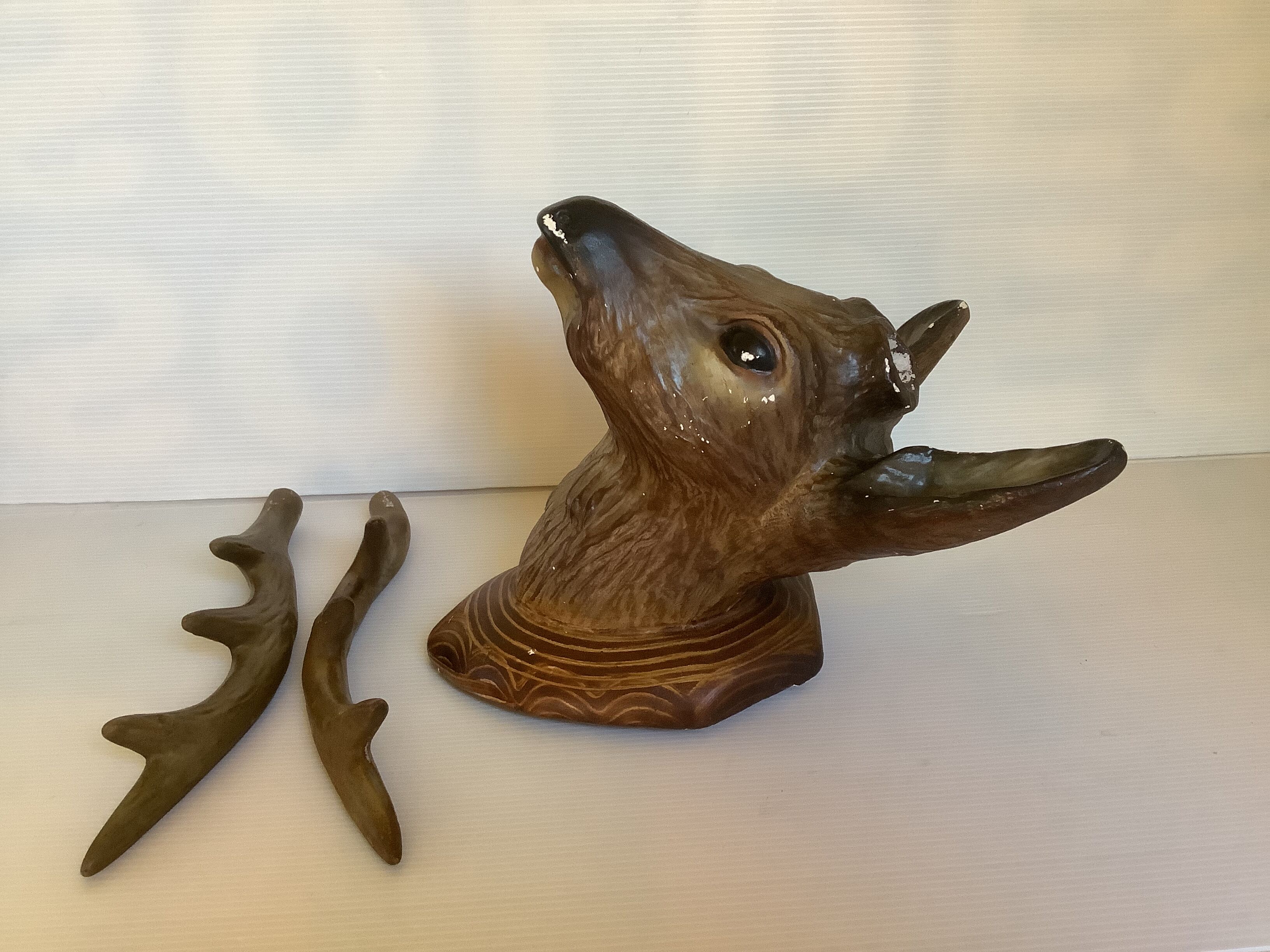 Former deer trophy