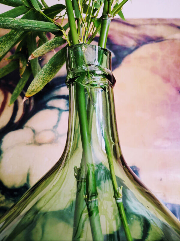 Demijohn in  green 12 litres