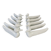 Knife holder