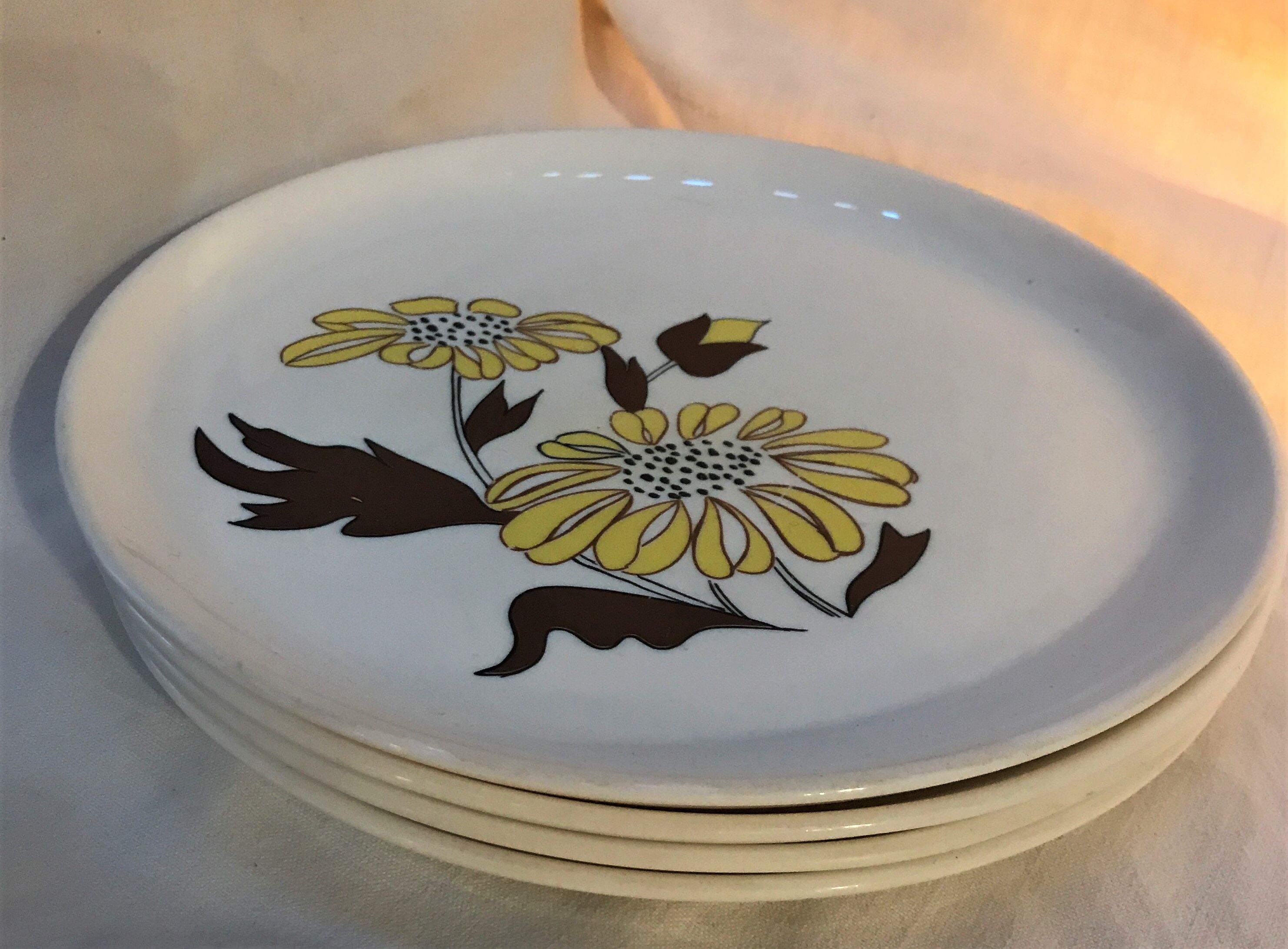 Lot Flat plates and dessert Sovirel 70s