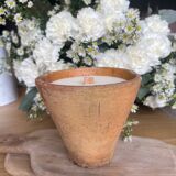 Candle clay of the landes