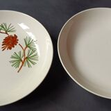 2 Villeroy and Boch deep plates Pin decor