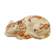 Imari cat