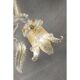 Luxury Italian Clear and Gold-Leaf Wall Sconce R With Flowers and Leaves Mu