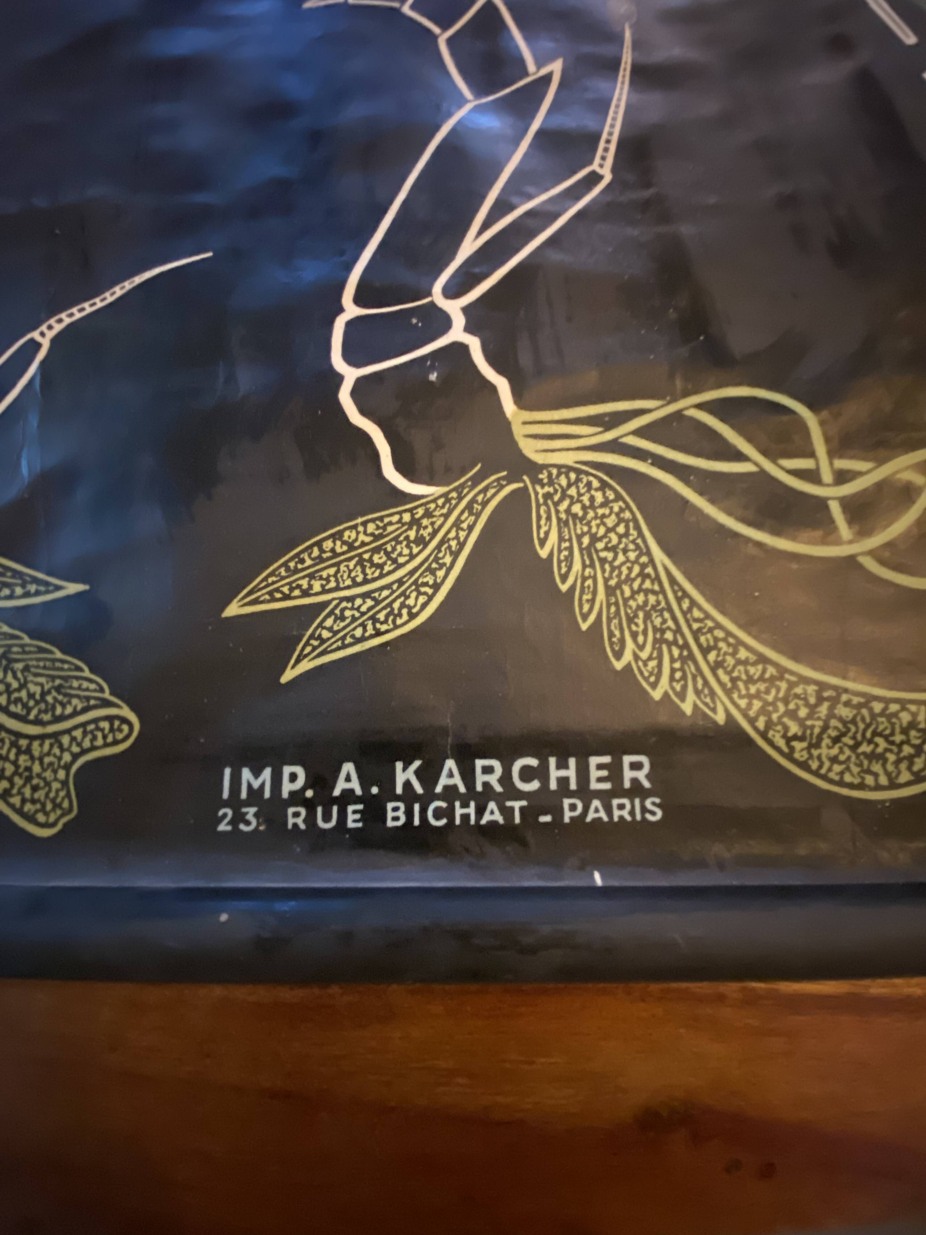 Poster Dr Auzoux, Paul Sougy 1957, No. L THE CRAYFISH