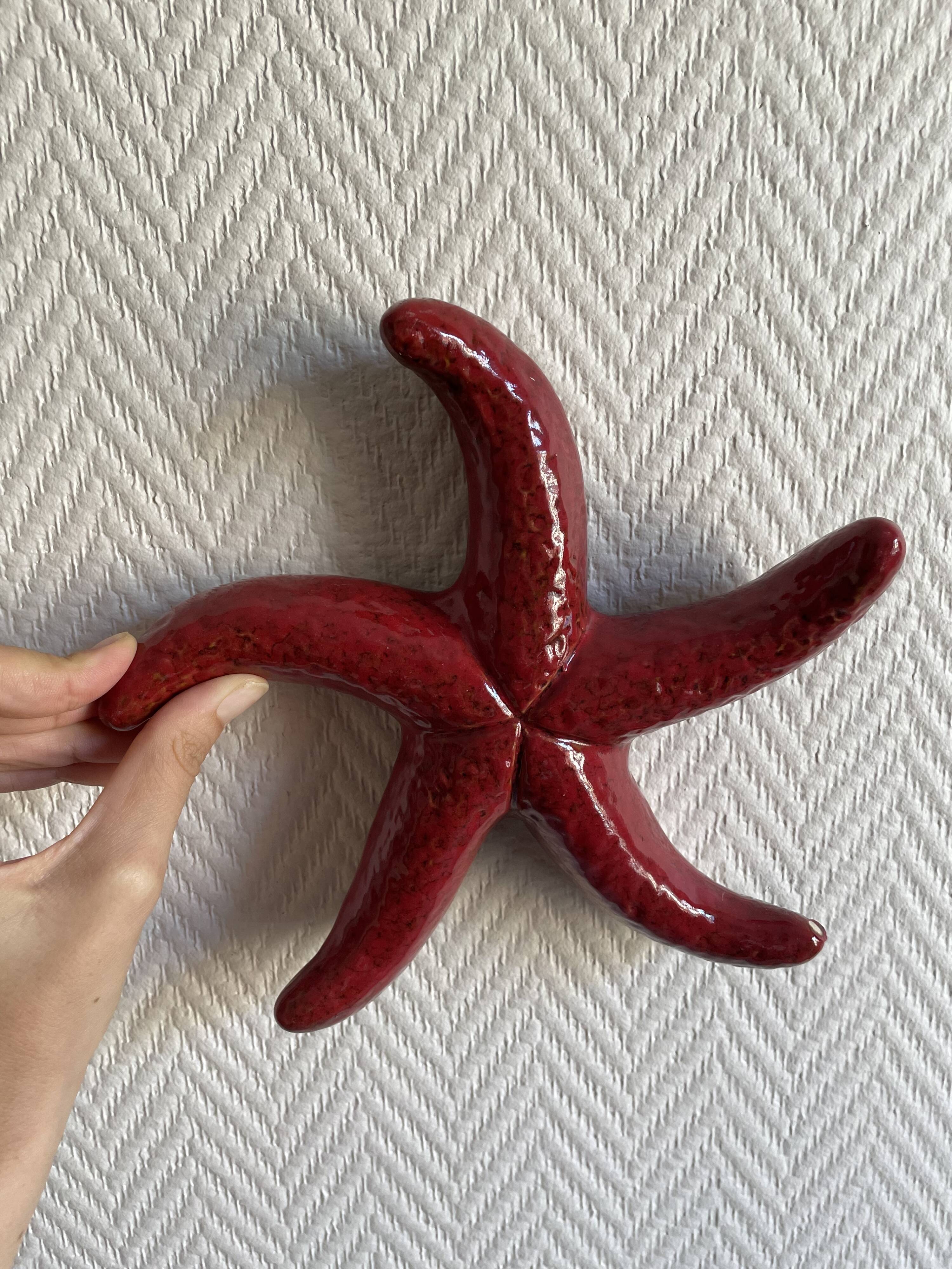 ceramic starfish