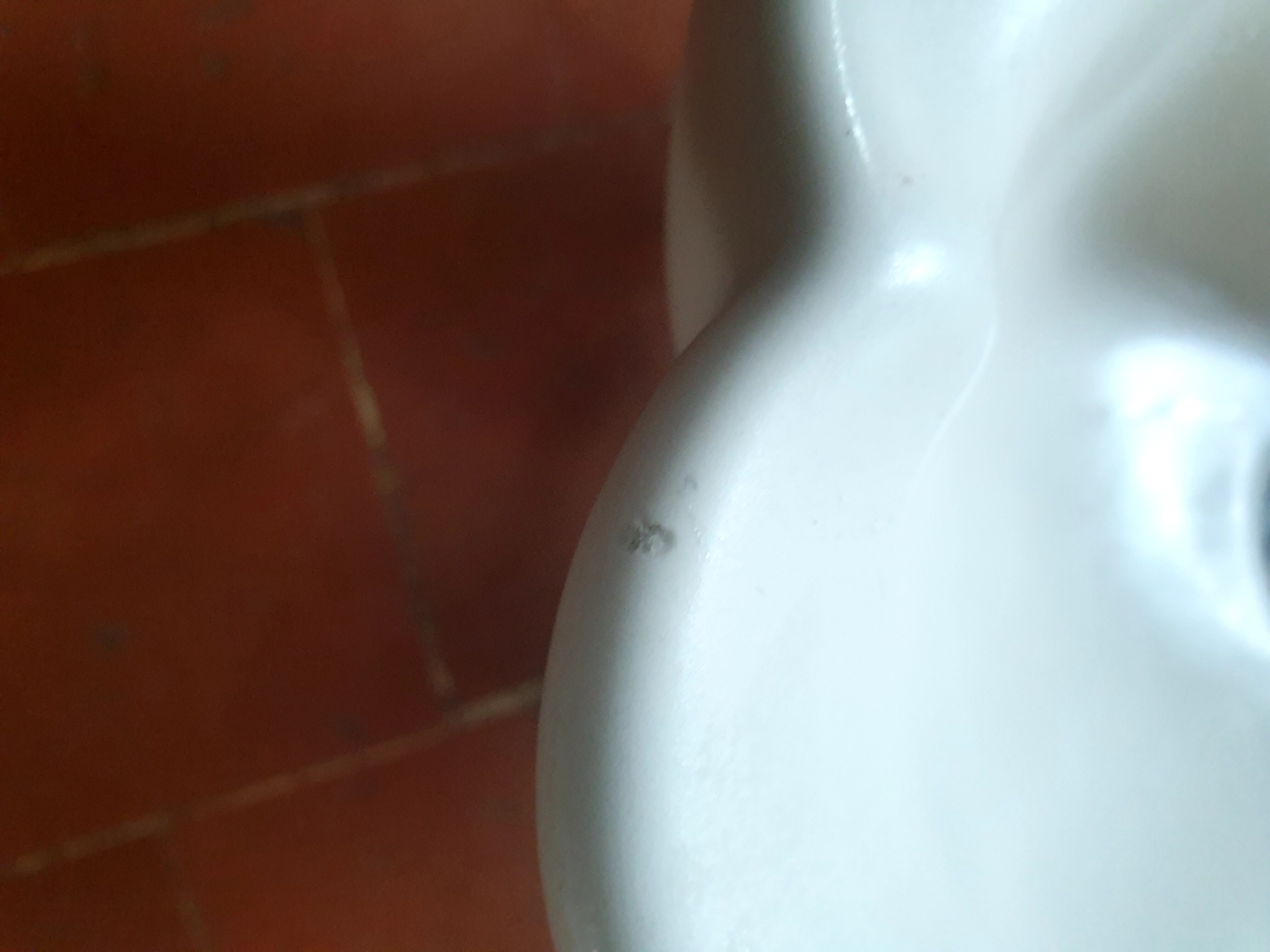 Shell sink and copper taps