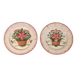 2 old plates