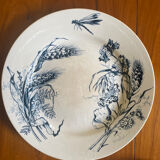 Plates