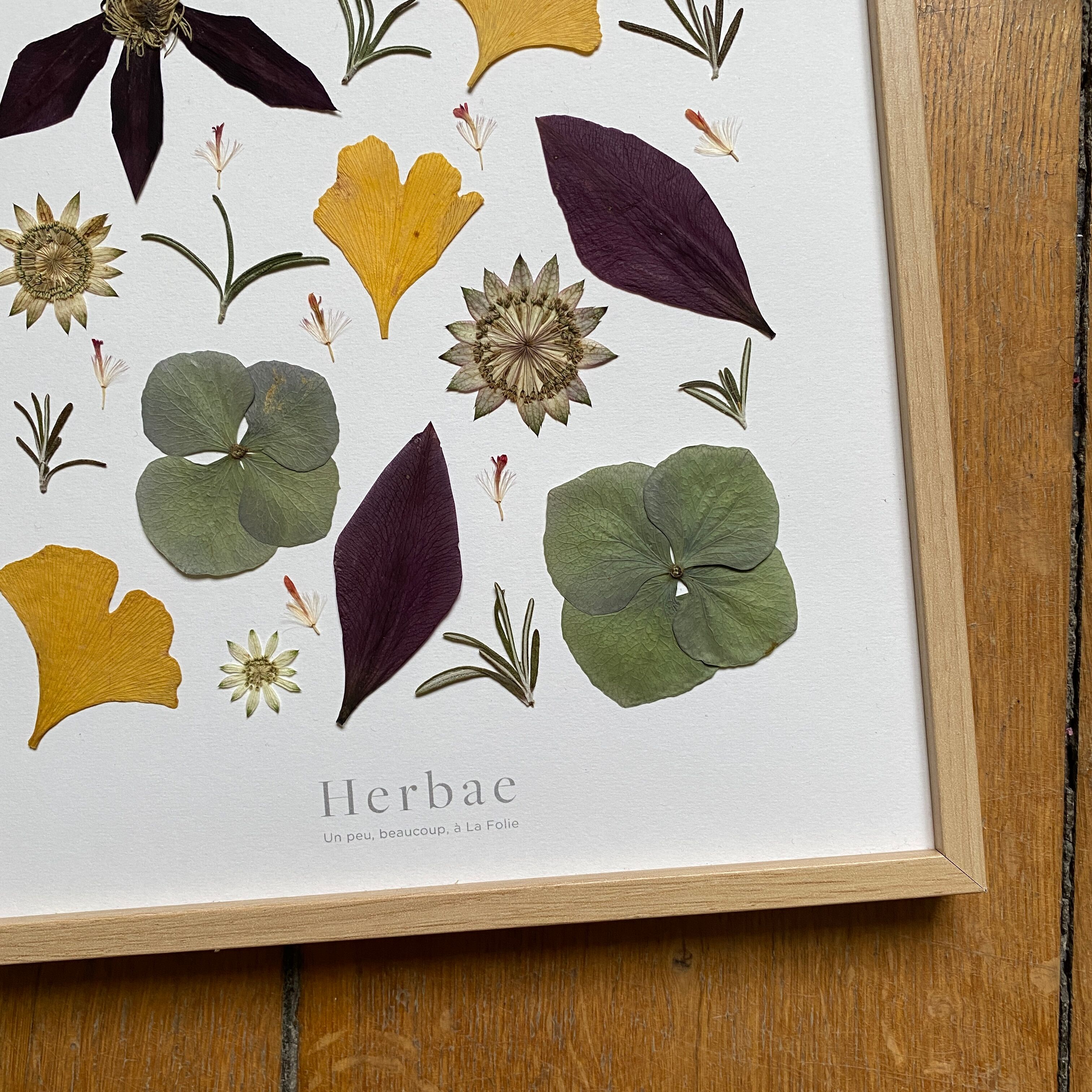 Framed herbarium Matisse