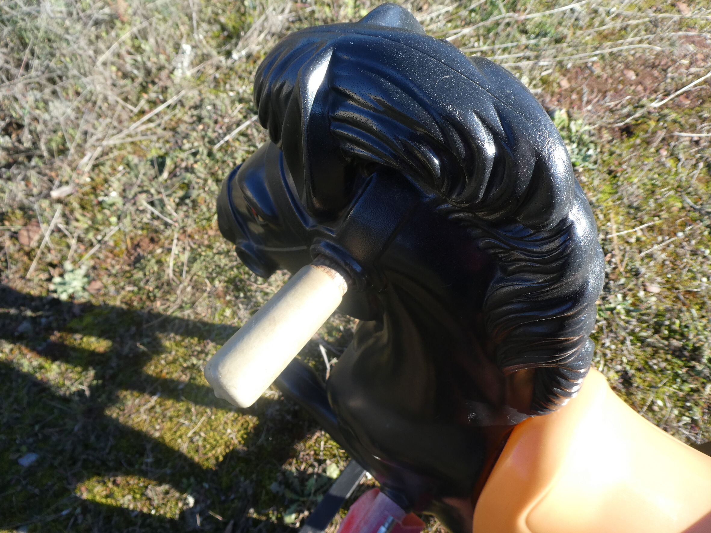 Vintage carousel riding horse