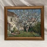 Painting signed Oil on canvas dimension: height: 45 cm - width -54 cm -