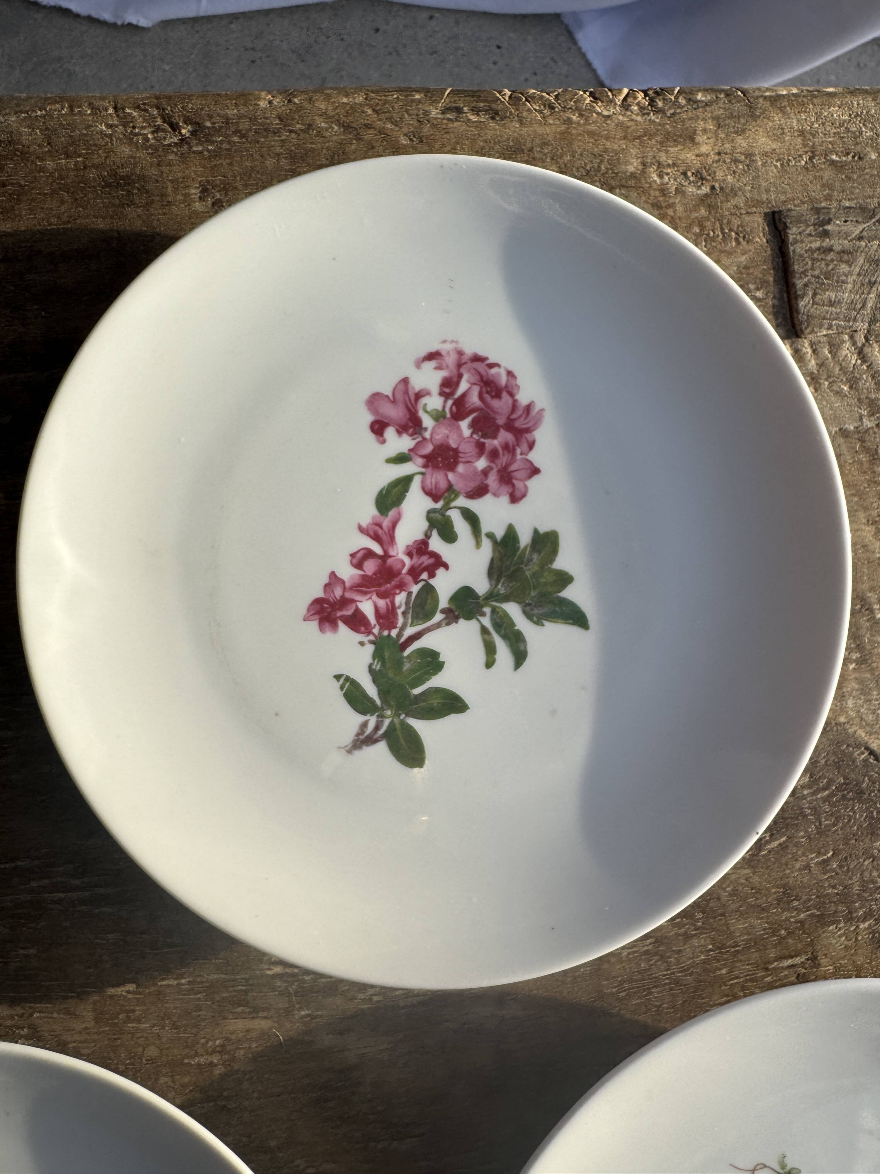Set of 5 dessert plates with flower patterns Germany Bavaria D19