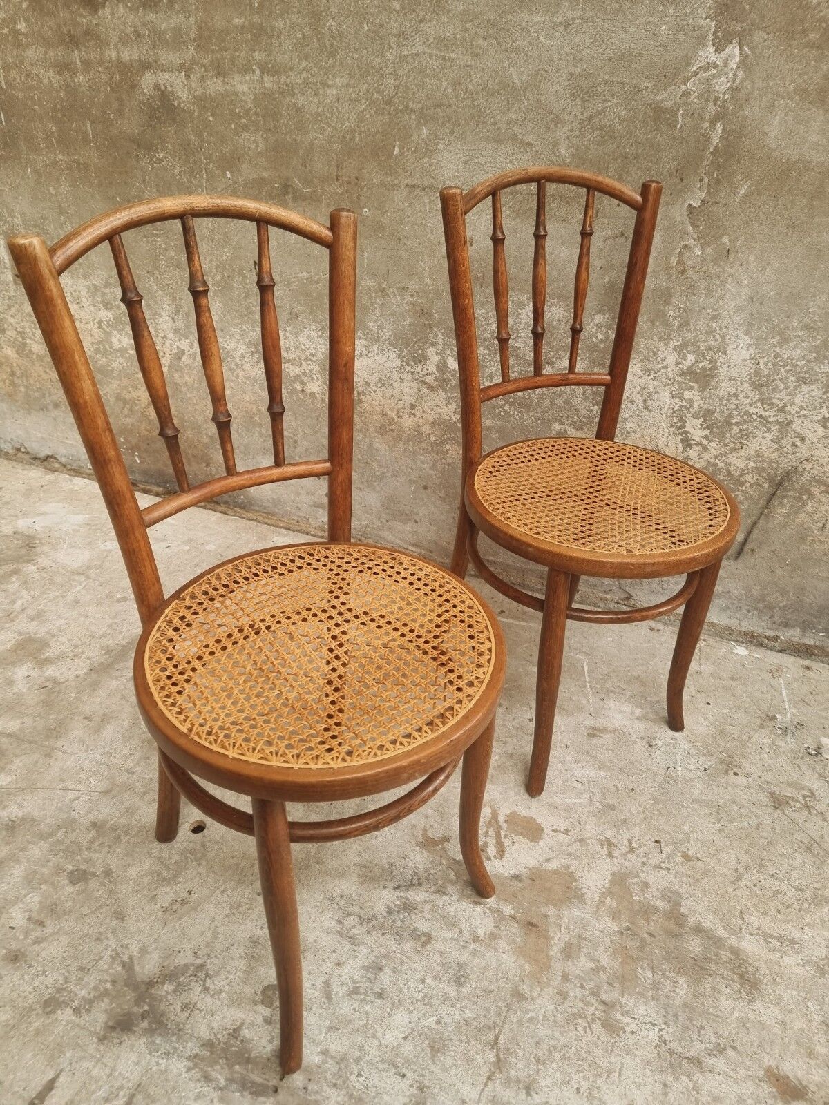 Antique chairs by Fischel
