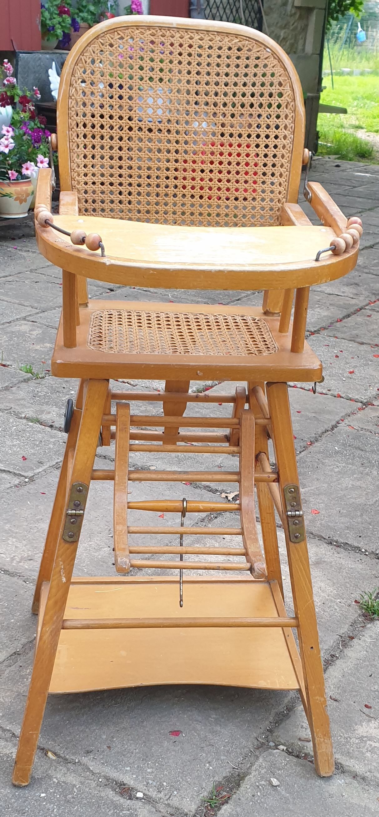 High canine chair convertible into wood