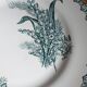 Flat porcelain plate st Amandinoise st amand model thrush