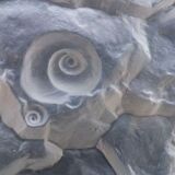 Empty pocket crystal design Jolanda Prinsen