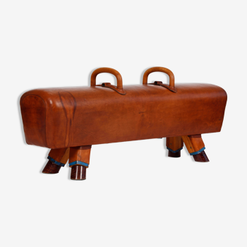 Gymnastic Leather Pommel Horse Bench with Wooden Handles, 1930s