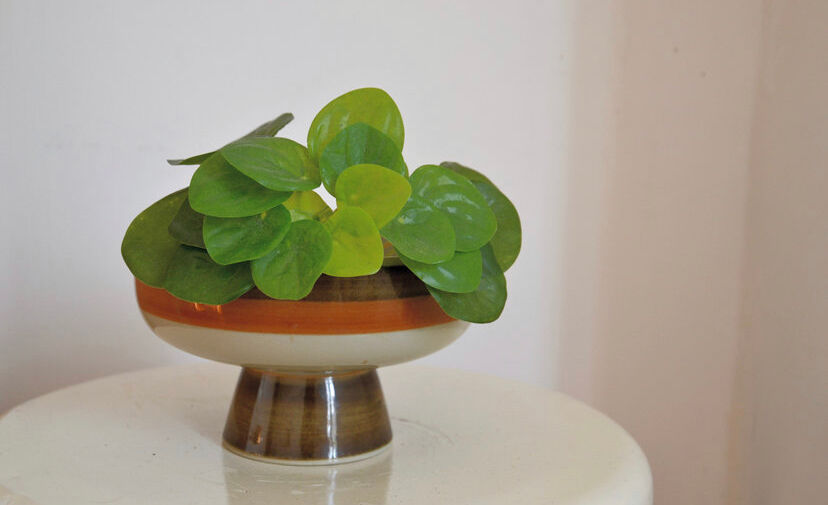 Display or empty pocket of the 70s vintage