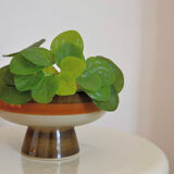 Display or empty pocket of the 70s vintage