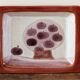 Pocket tray "apple trees", signed by the Cloutier brothers.