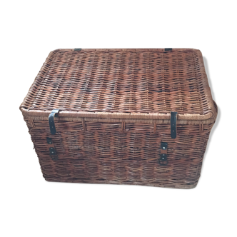 Trunk