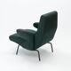 Delfino armchair by Erberto Carboni, Arflex Italy