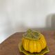 Slurry mustard pot