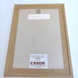 Pink botanical illustration lithograph