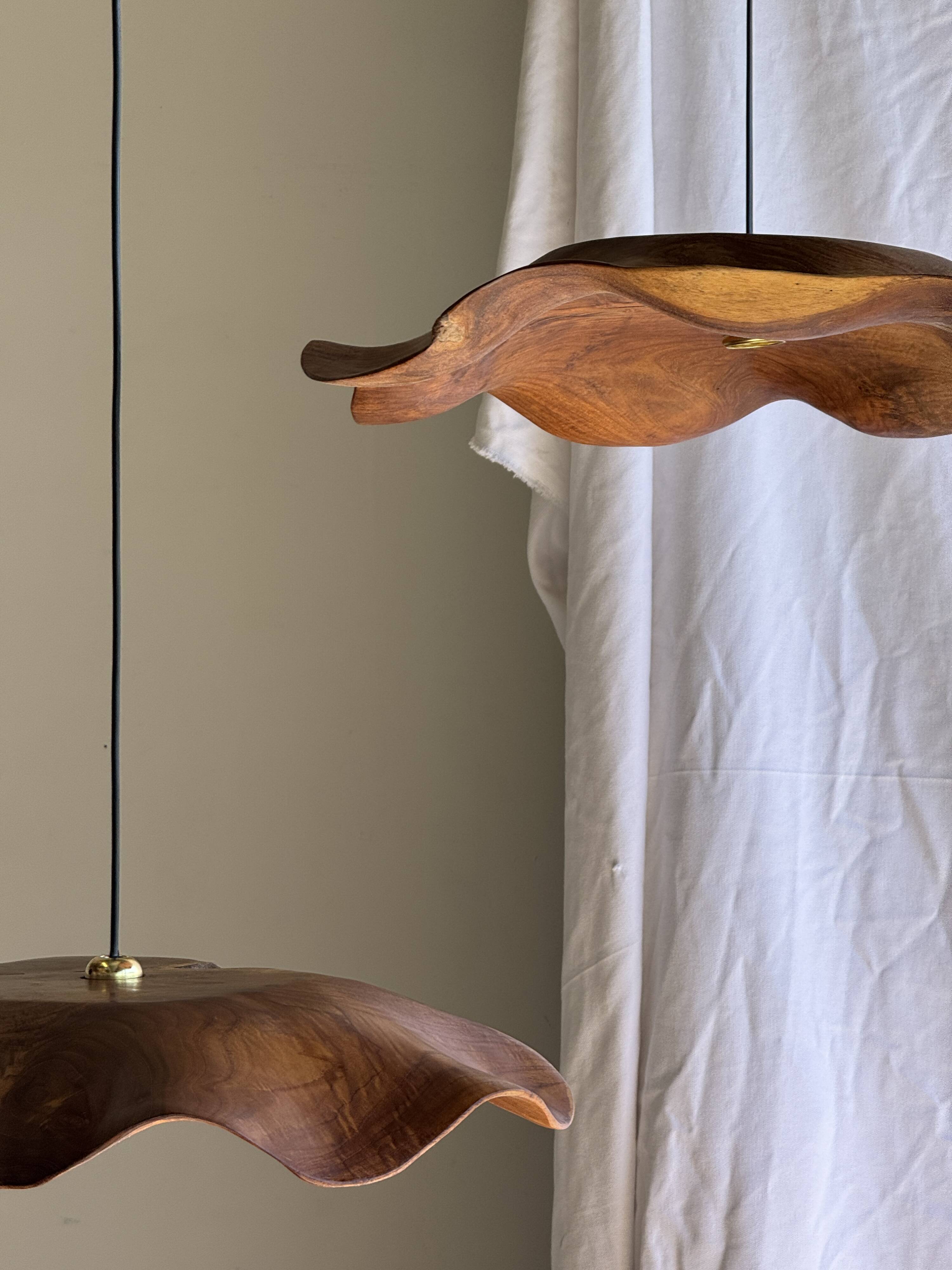 Very large wavy flat leaf suspension in smooth teak D:60