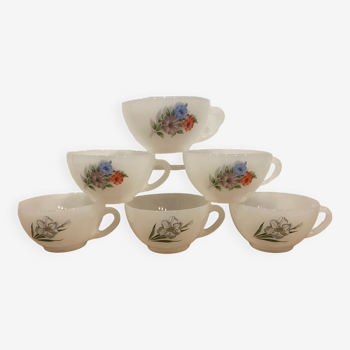 Set of 6 cups Arcopal "Narcissus" and "volubilis"