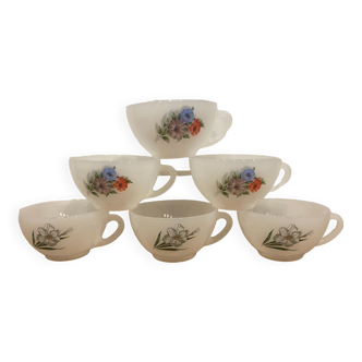 Set of 6 cups Arcopal "Narcissus" and "volubilis"