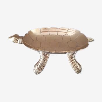 Empty turtle brass pocket