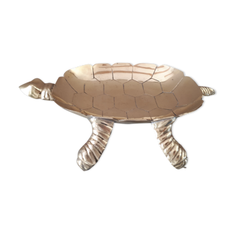 Empty turtle brass pocket