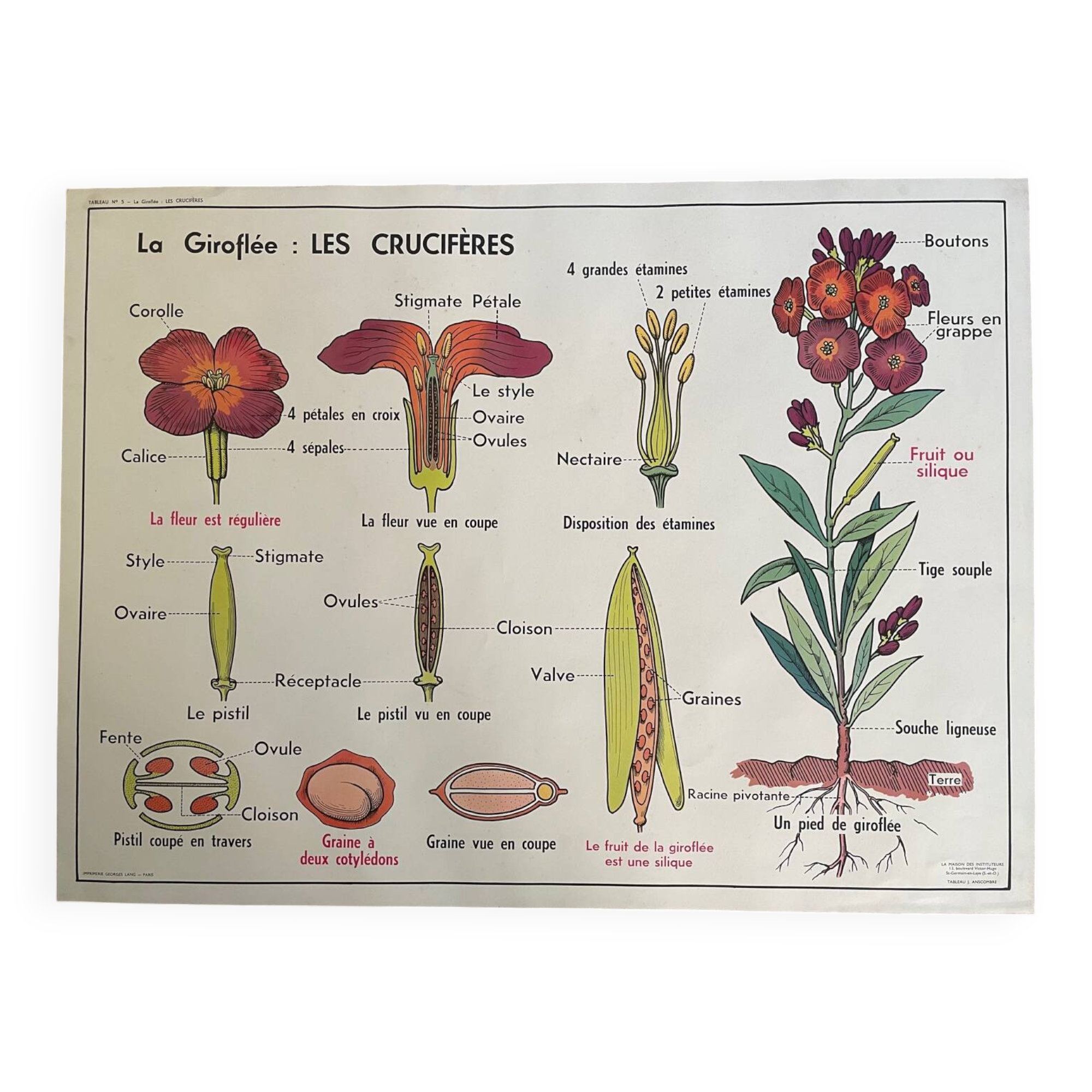 Old school educational poster, school