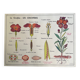 Old school educational poster, school
