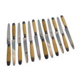 Box 12 horn knives Nogent