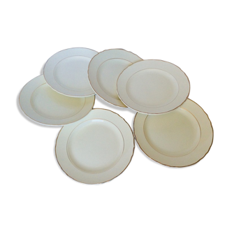 Lot de 6 assiettes plates de la manufacture Salins