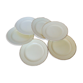 Set of 6 flat plates from the Salins manufacture