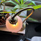Lampe de bureau Art Deco « col de cygne »