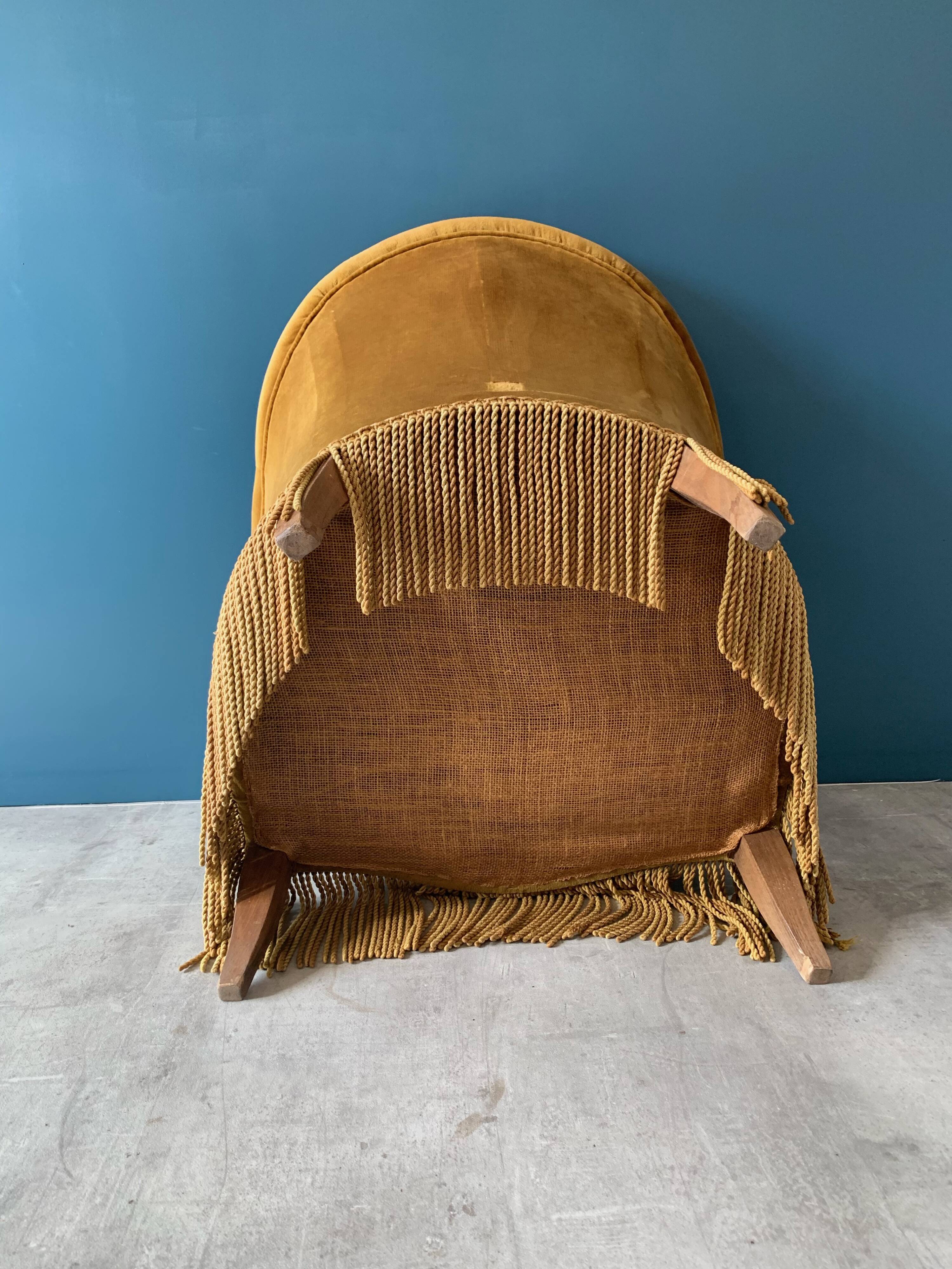 Old velvet toad old gold