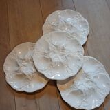 4 oyster branch plates