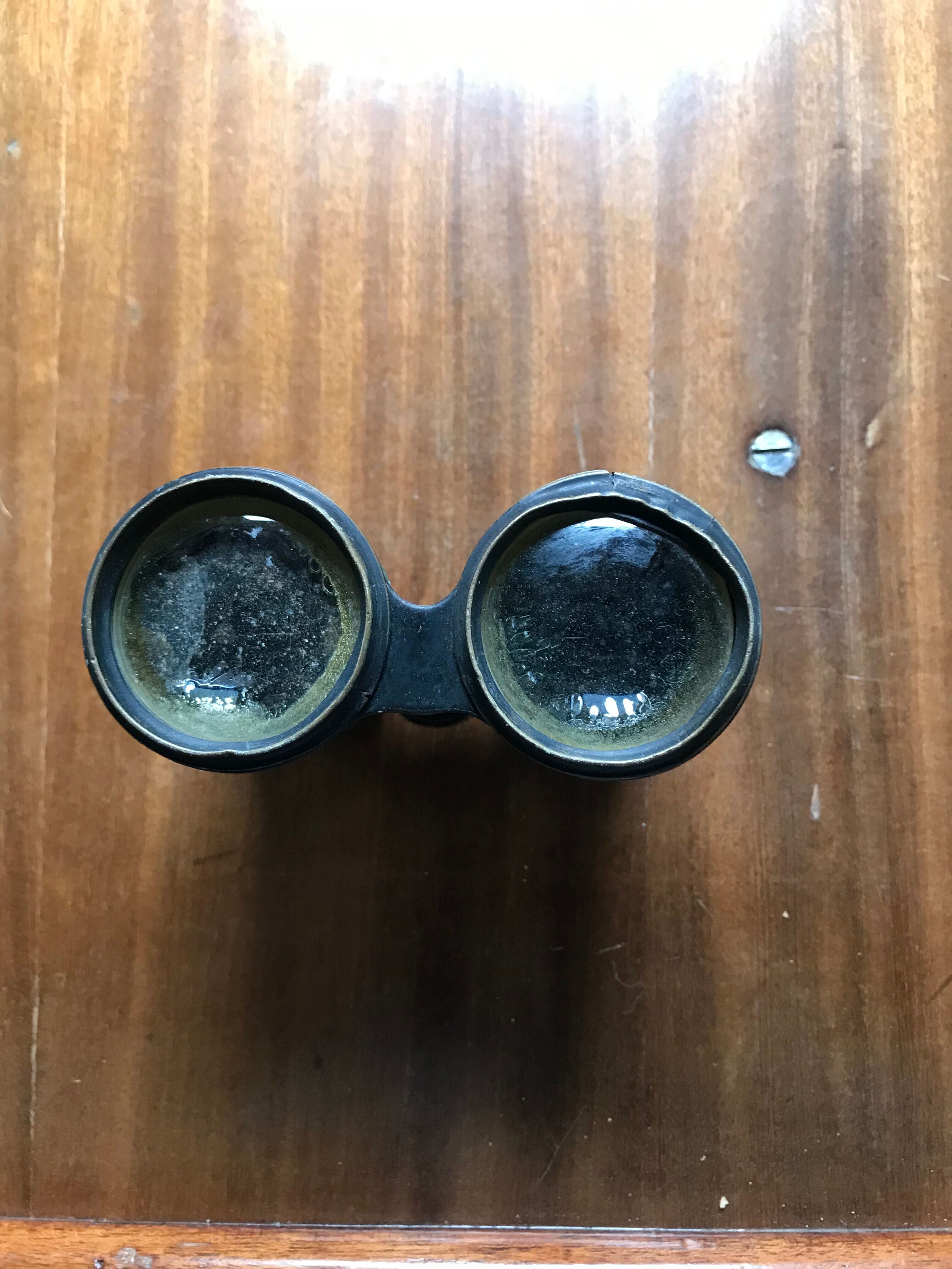 Pair of theater binoculars "deposed Argus"