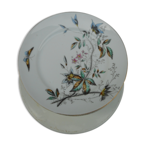 Lot de douze assiettes plates en
