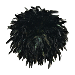 Juju hat Plumes sauvages