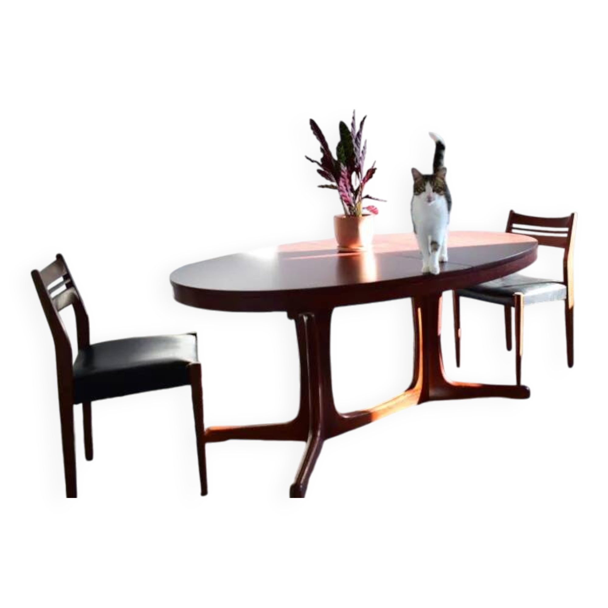 Vintage Baumann style dining table from the 1960s-1970s