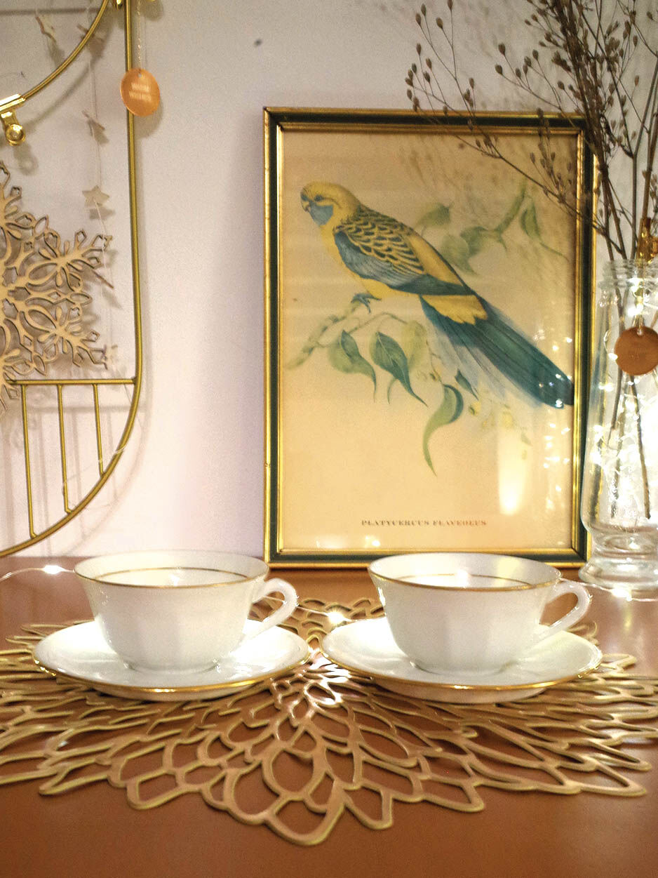 Set of 2 cups in Massé and Surget porcelain