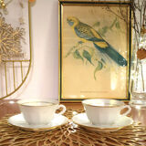 Set of 2 cups in Massé and Surget porcelain