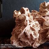 Sand rose - minerals - 2.5 kilos