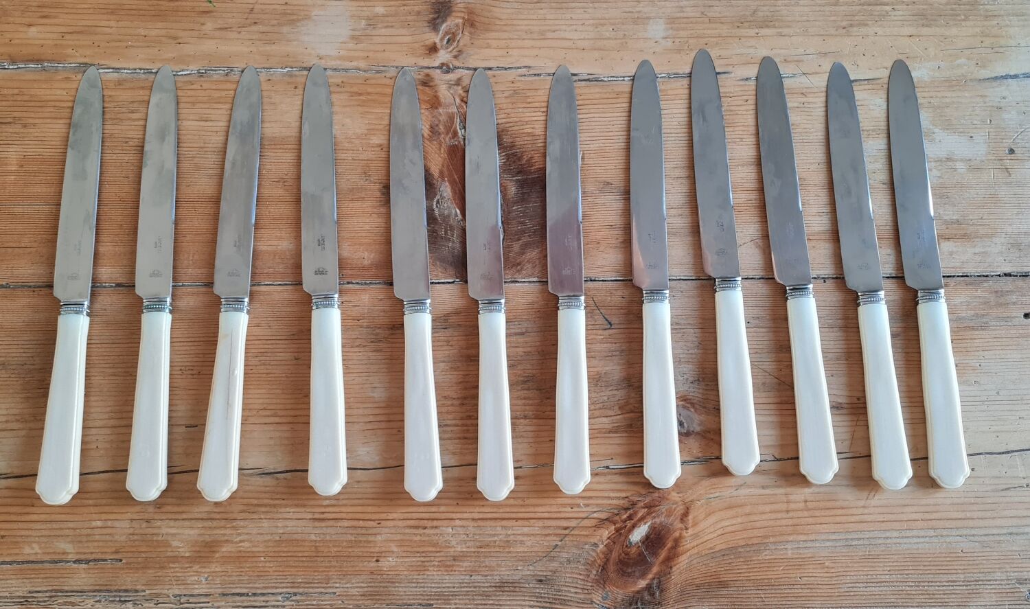 Setvde 12 knives in bakelite and stainless steel